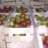 яблоки Российских и зарубежных производ в Димитровграде 10
