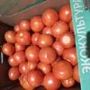 томат красный круглый в Ульяновске