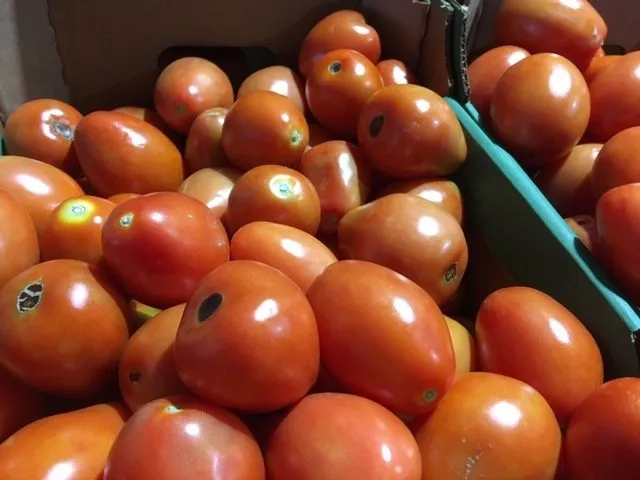 томат сливовидный нестандарт в Ульяновске