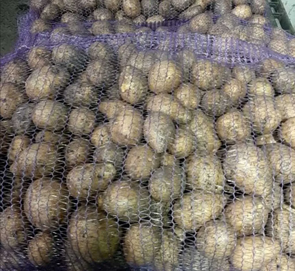 картофель в Ульяновске 2